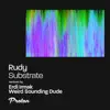 Rudy UK, Erdi Irmak & Weird Sounding Dude - Substrate (Remixes) - Single